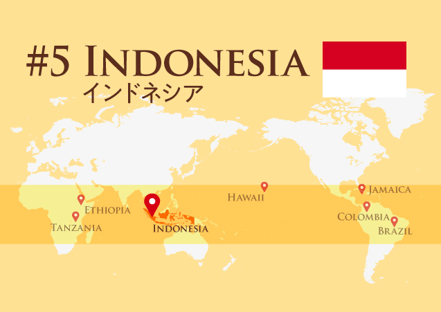【マンデリンコーヒー】魅惑の島々「インドネシア」／旅する博士