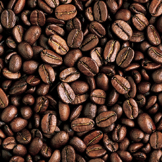 フルシティロースト