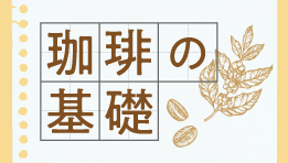 珈琲の基礎（トップ）