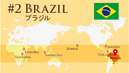 【ブラジルコーヒー】世界最大のコーヒー産地「ブラジル」／旅する博士 