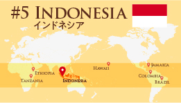 【マンデリンコーヒー】魅惑の島々「インドネシア」／旅する博士 