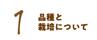 1 品種と栽培について
