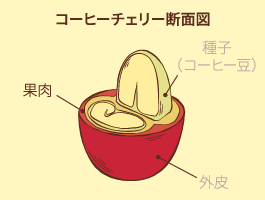 どの部分を使うの？