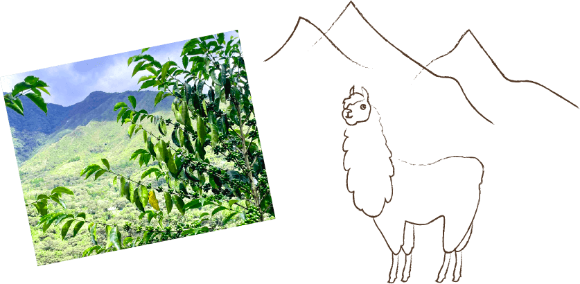 仕入担当のつぶやき