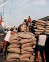 日本に向けて船積みされるコーヒー豆（ブラジル・サントス港）