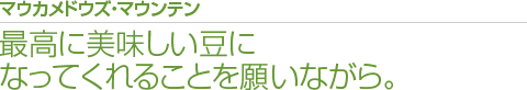 マウカメドウズ・マウンテン 最高に美味しい豆になってくれることを願いながら。