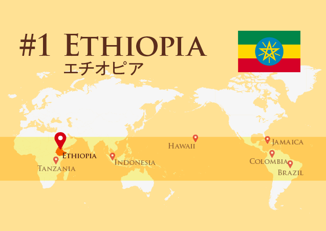 【モカコーヒー】コーヒーの起源「エチオピア」／旅する博士