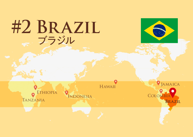 【ブラジルコーヒー】世界最大のコーヒー産地「ブラジル」