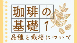 珈琲の基礎（品種と栽培）