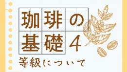 珈琲の基礎（等級について）