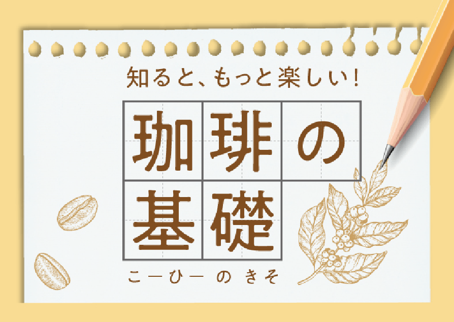 珈琲の基礎