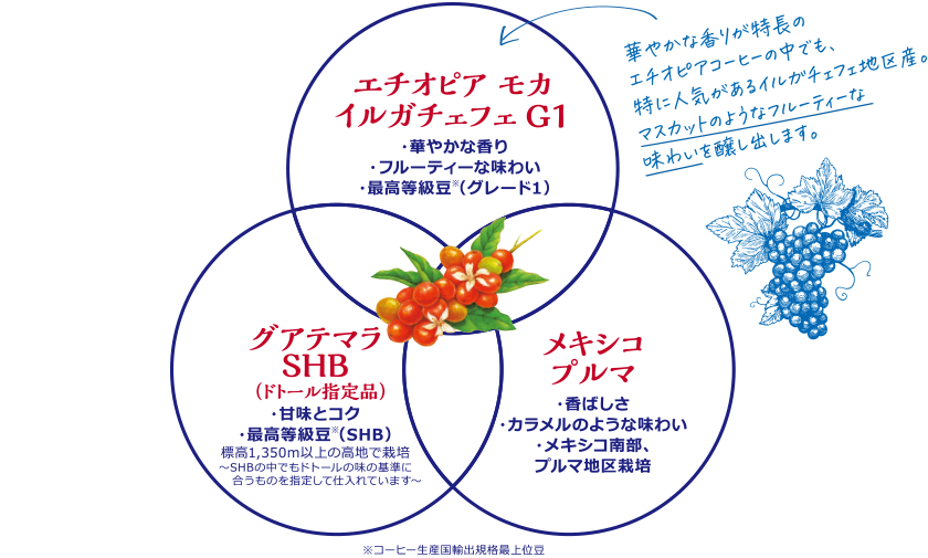 華やかな香りが特長のエチオピアコーヒーの中でも、特に人気があるイルガチェフェ地区産。マスカットのようなフルーティーな味わいを醸し出します。