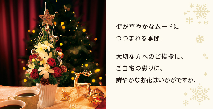 街が華やかなムードにつつまれる季節。大切な方へのご挨拶に、ご自宅の彩りに、鮮やかなお花はいかがですか。