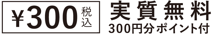 �\300税込 実質無料 300円分ポイント付