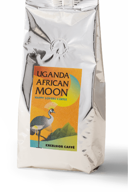 ウガンダ　アフリカンムーン　コーヒー豆